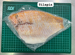 Tilapia